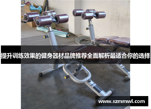 提升训练效果的健身器材品牌推荐全面解析最适合你的选择