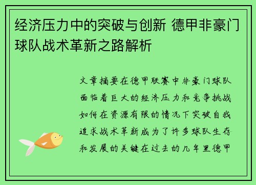 经济压力中的突破与创新 德甲非豪门球队战术革新之路解析