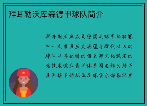 拜耳勒沃库森德甲球队简介